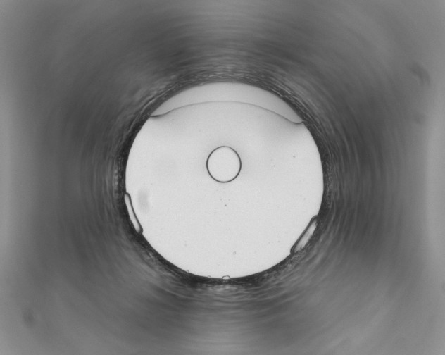 X0000111350268200908211241