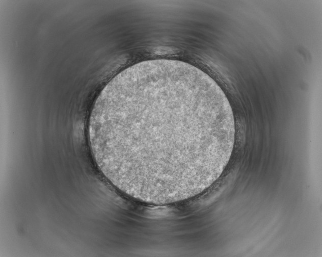X0000111350269200908211241
