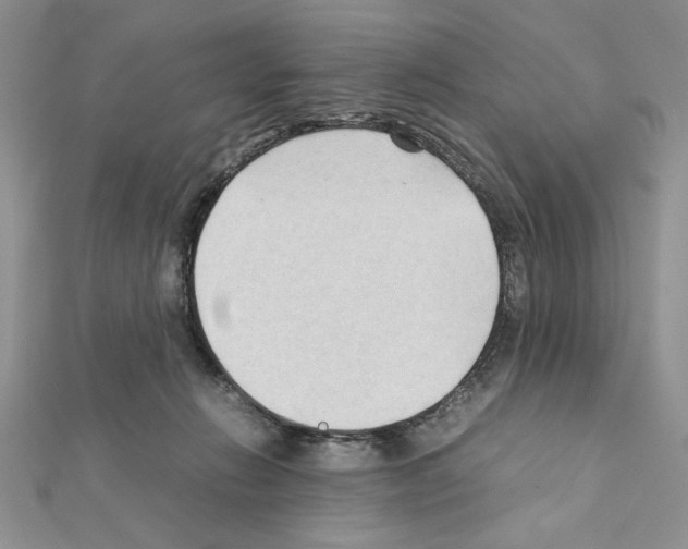 X0000111350270200908211241