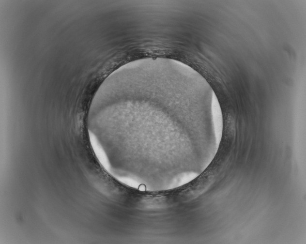 X0000111350271200908211241
