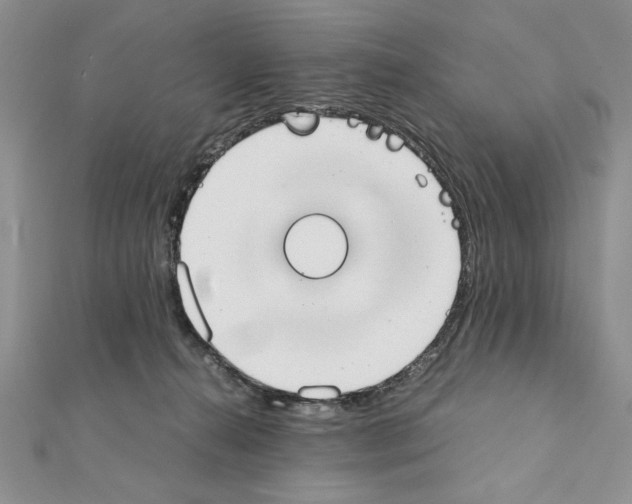 X0000111350272200908211241