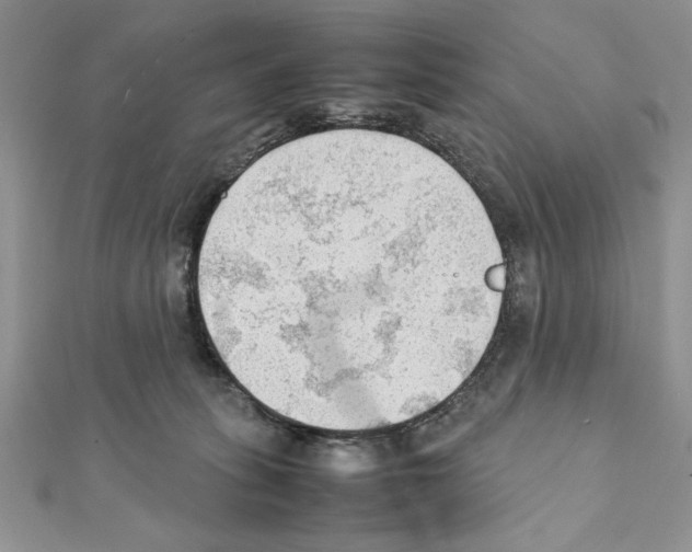 X0000111350275200908211241