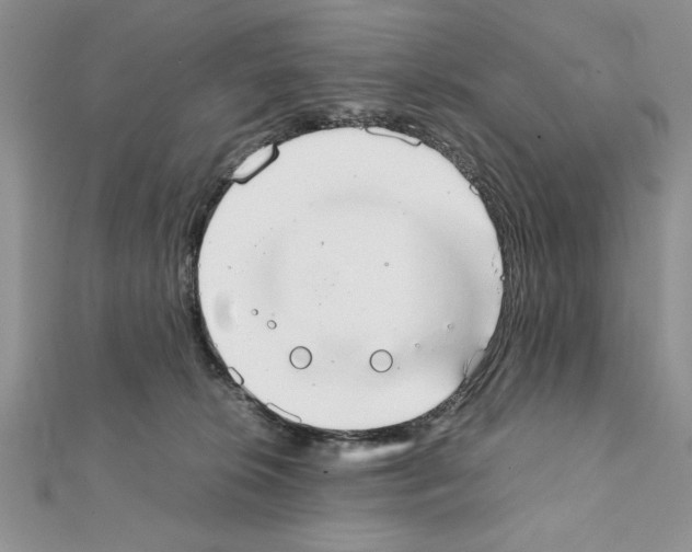 X0000111350276200908211241