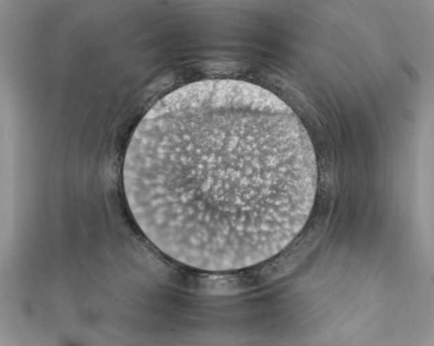 X0000111350277200908211241