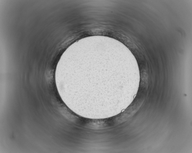 X0000111350278200908211241
