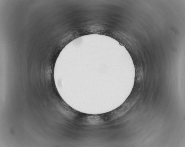 X0000111350279200908211241