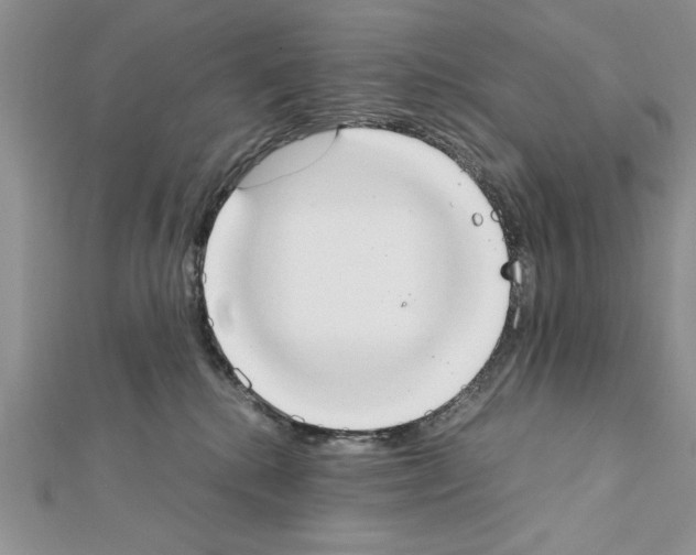 X0000111350280200908211241
