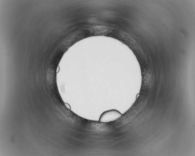 X0000111350283200908211241