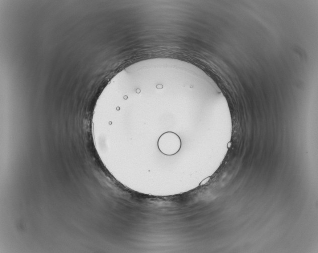 X0000111350284200908211241