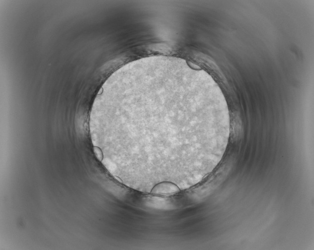 X0000111350285200908211241