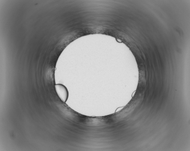 X0000111350286200908211241