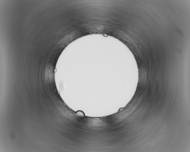 X0000111350287200908211241