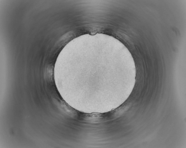 X0000111350288200908211241