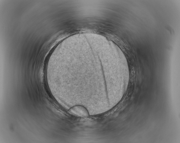 X0000111350290200908211240