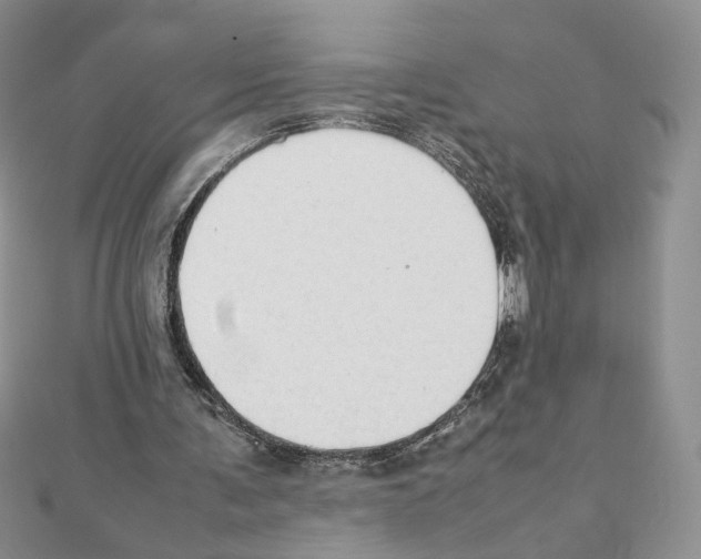 X0000111350291200908211240