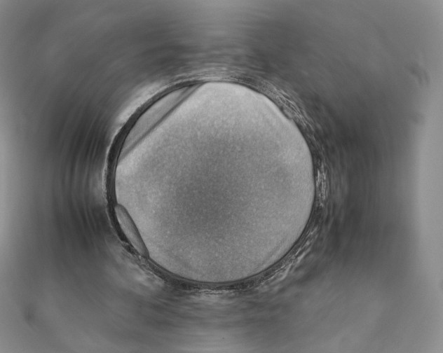 X0000111350292200908211240