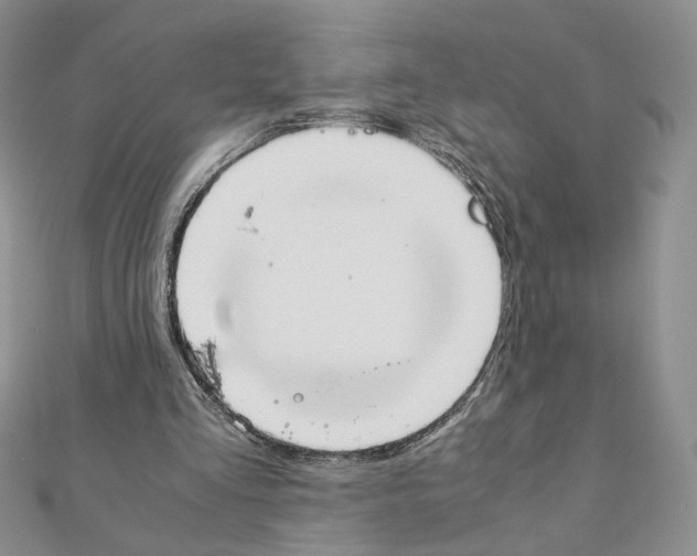 X0000111350293200908211240