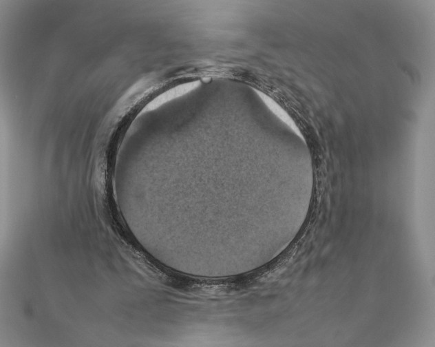 X0000111350295200908211240
