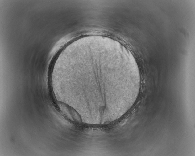 X0000111350296200908211240
