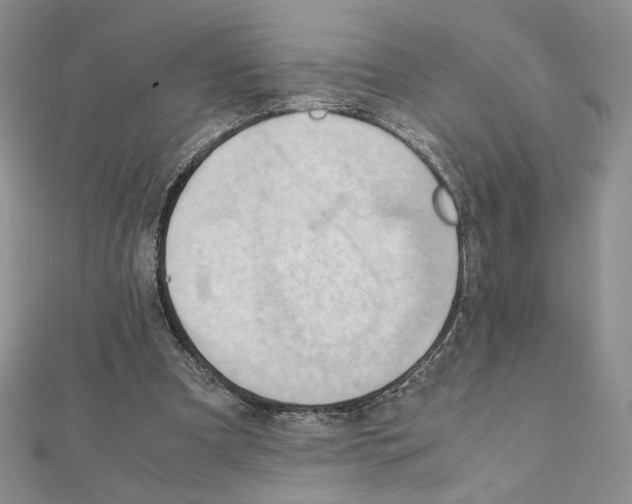 X0000111350297200908211240