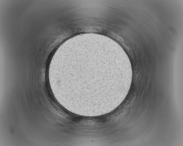 X0000111350299200908211240