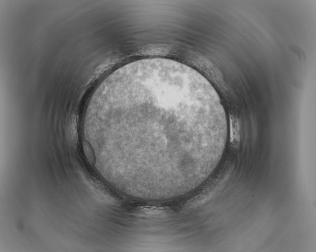 X0000111350300200908211240