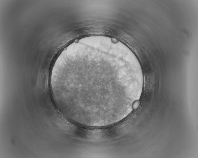 X0000111350301200908211240