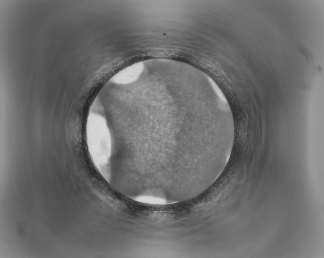 X0000111350303200908211240
