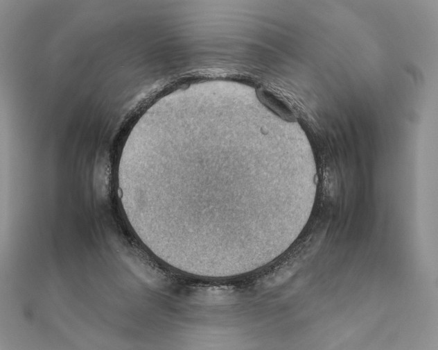 X0000111350304200908211240