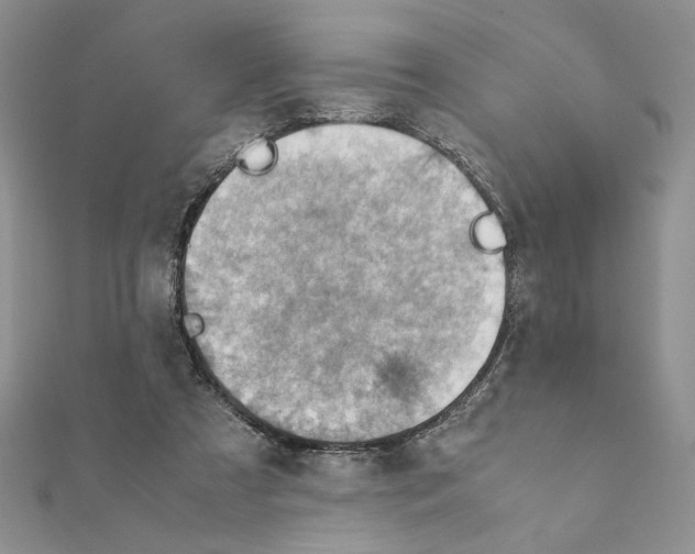 X0000111350305200908211240