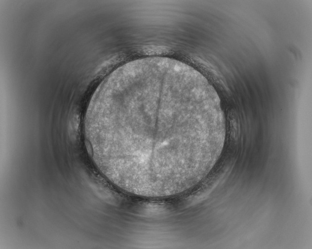 X0000111350308200908211240