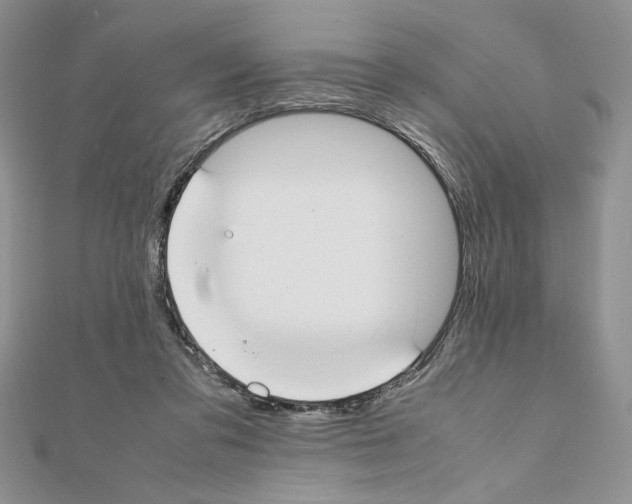 X0000111350309200908211240