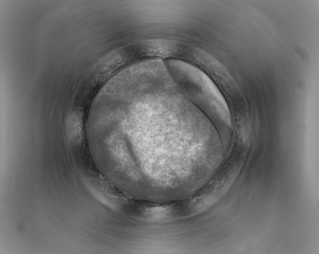 X0000111350312200908211240
