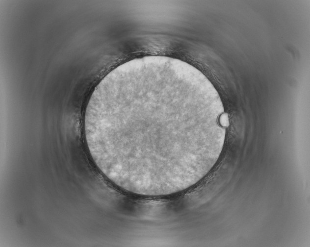 X0000111350313200908211240