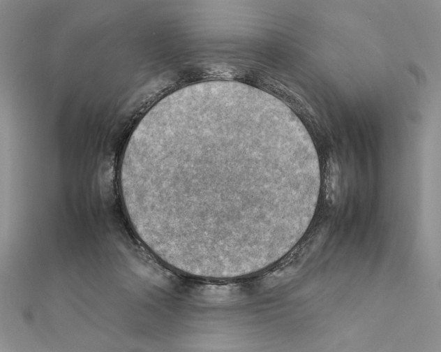 X0000111350314200908211240