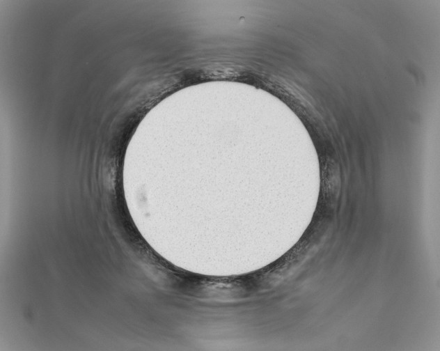 X0000111350315200908211240
