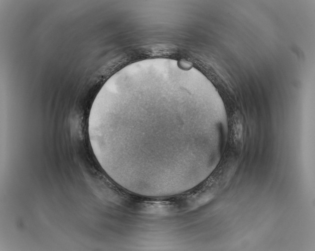 X0000111350316200908211240