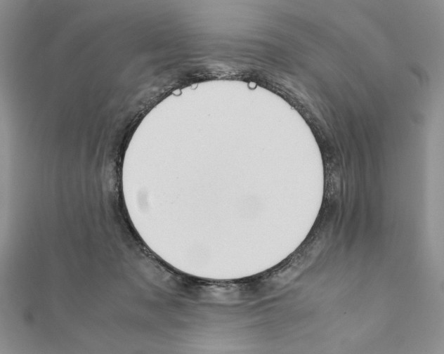 X0000111350317200908211240