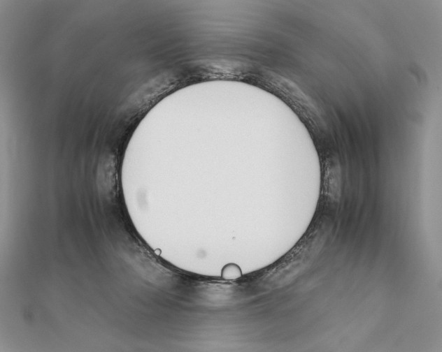 X0000111350318200908211240