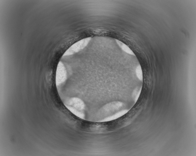 X0000111350319200908211240