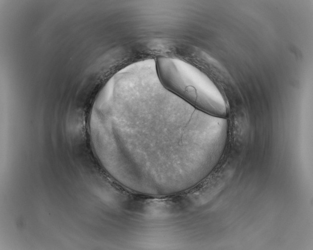 X0000111350320200908211240