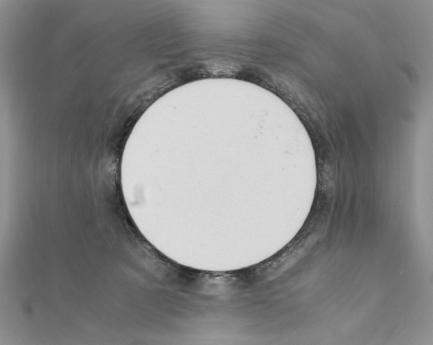 X0000111350321200908211240