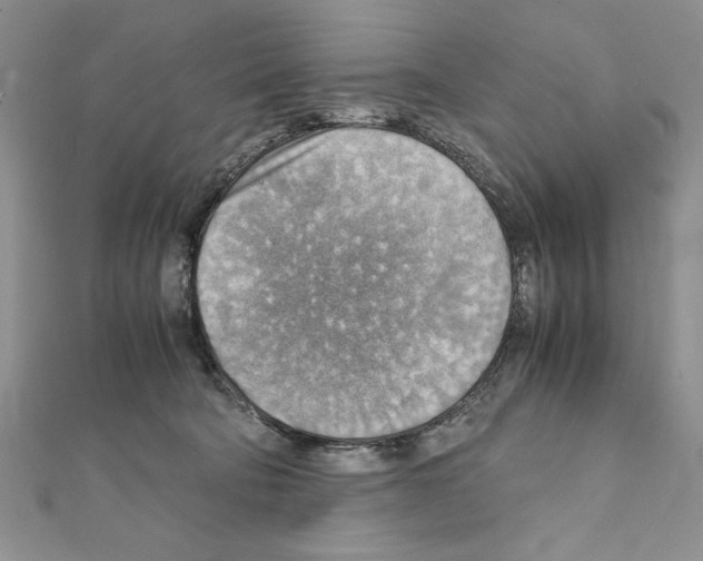 X0000111350322200908211240
