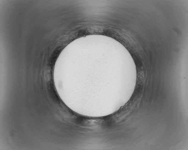 X0000111350323200908211240