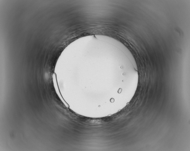 X0000111350324200908211240
