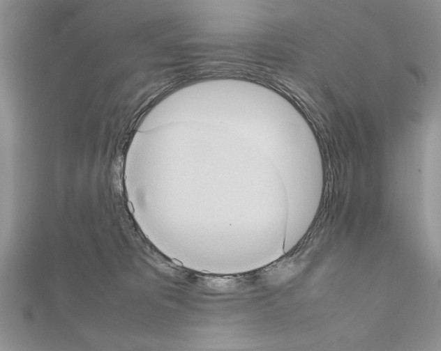 X0000111350325200908211240