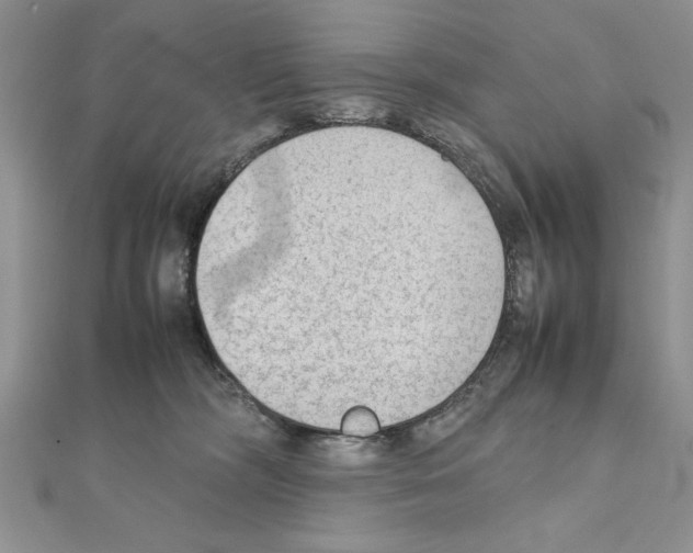 X0000111350326200908211240