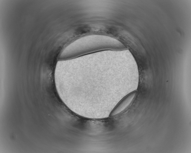 X0000111350327200908211240