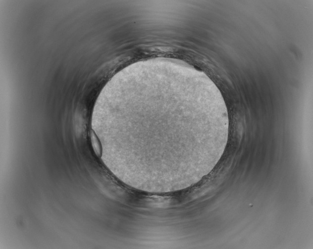 X0000111350328200908211240