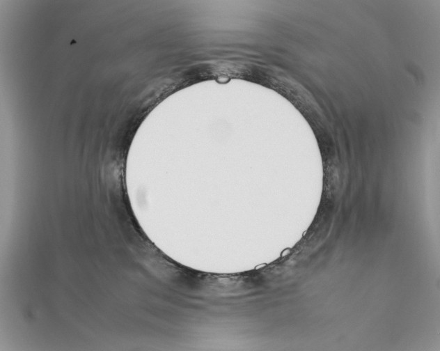 X0000111350329200908211240